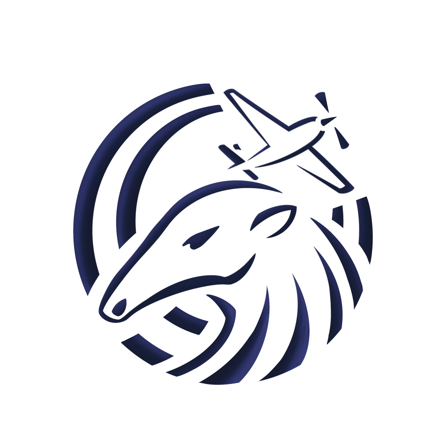 UC Irvine Design/Build/Fly Logo
