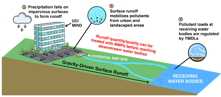 Diagram illustrating the increased introduction of constituents into receiving water bodies through stormwater runoff after the development of impervious surfaces. BMPs (best management practices) are permanent infrastructures that intercept the runoff and remove the constituents.