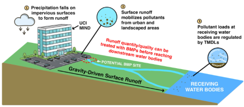 Diagram illustrating the increased introduction of constituents into receiving water bodies through stormwater runoff after the development of impervious surfaces. BMPs (best management practices) are permanent infrastructures that intercept the runoff and remove the constituents.