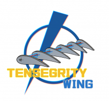 Tensegrity Wing Logo 1.29.21